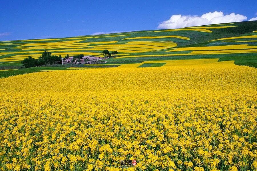 青海湖骑行-新大陆户外5