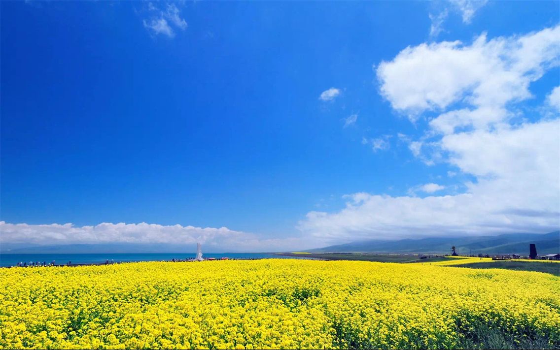 青海湖骑行-新大陆户外4