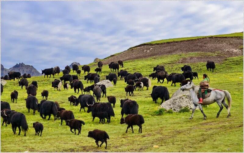 青海湖骑行-新大陆户外6