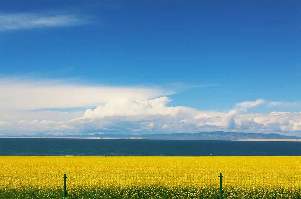 青海湖骑行-新大陆户外11