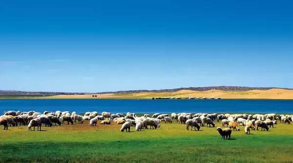 青海湖骑行-新大陆户外24 青海湖骑行-新大陆户外24